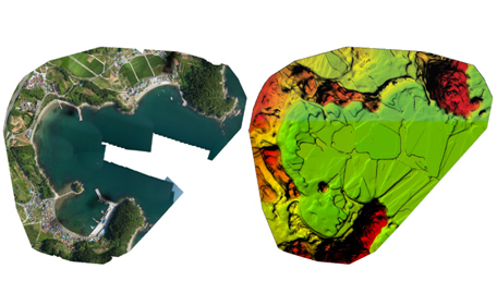정사영상과 DSM(Digital Surface Model)(거제도 관포항)